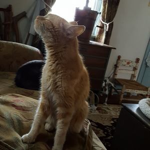 Meet your Posher, Steven